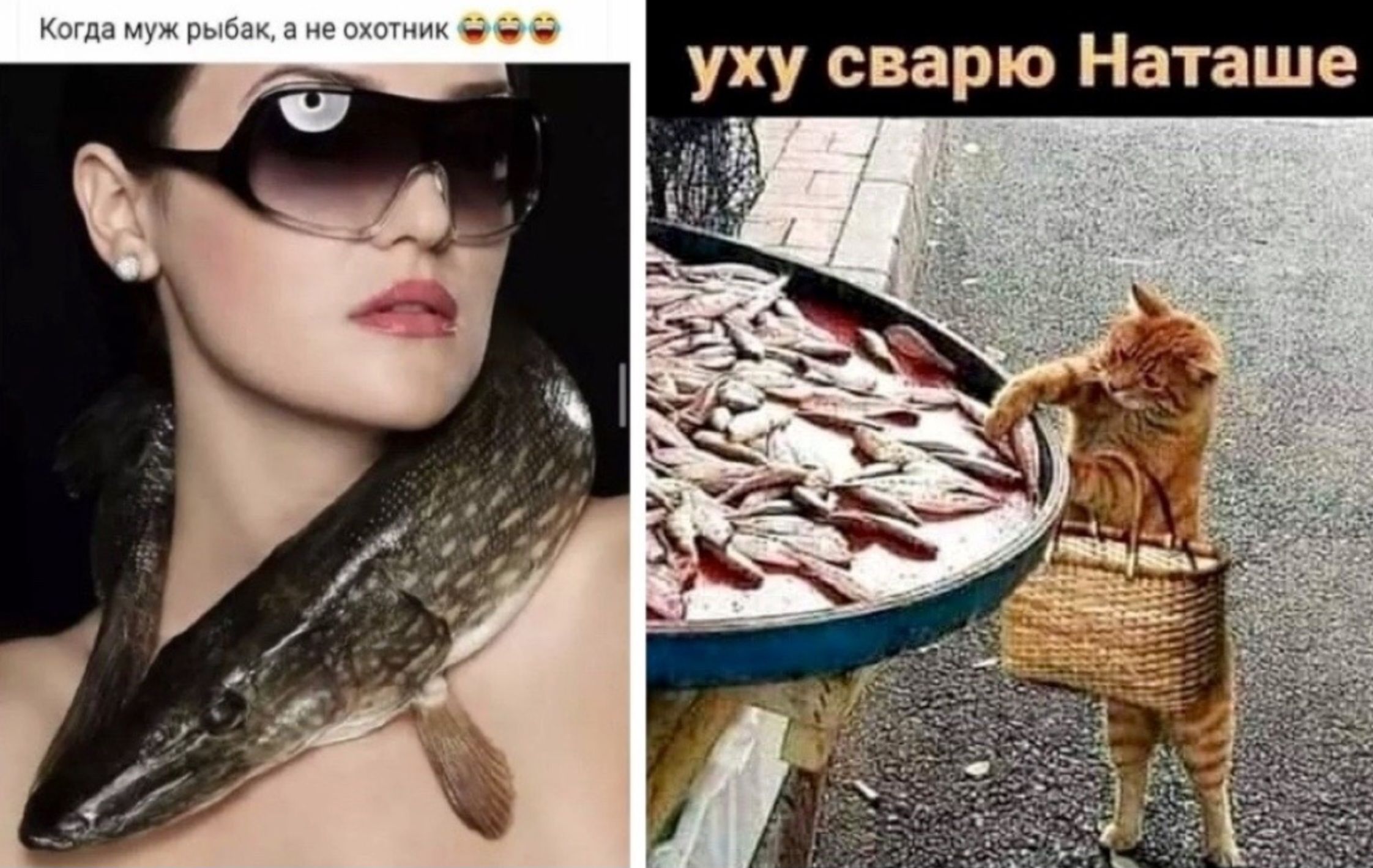 Когда муж рыбак, а не охотник
уху сварю Наташе