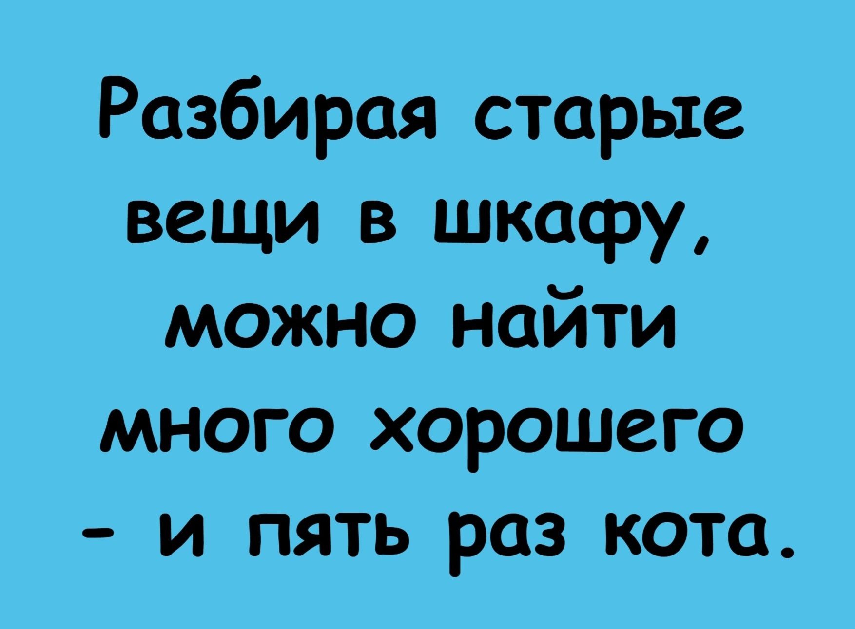 Разбирая старые вещи в шкафу, можно найти много хорошего - и пять раз кота.