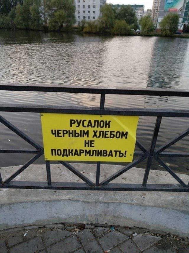РУСАЛОК ЧЕРНЫМ ХЛЕБОМ НЕ ПОДКАРМЛИВАТЬ!