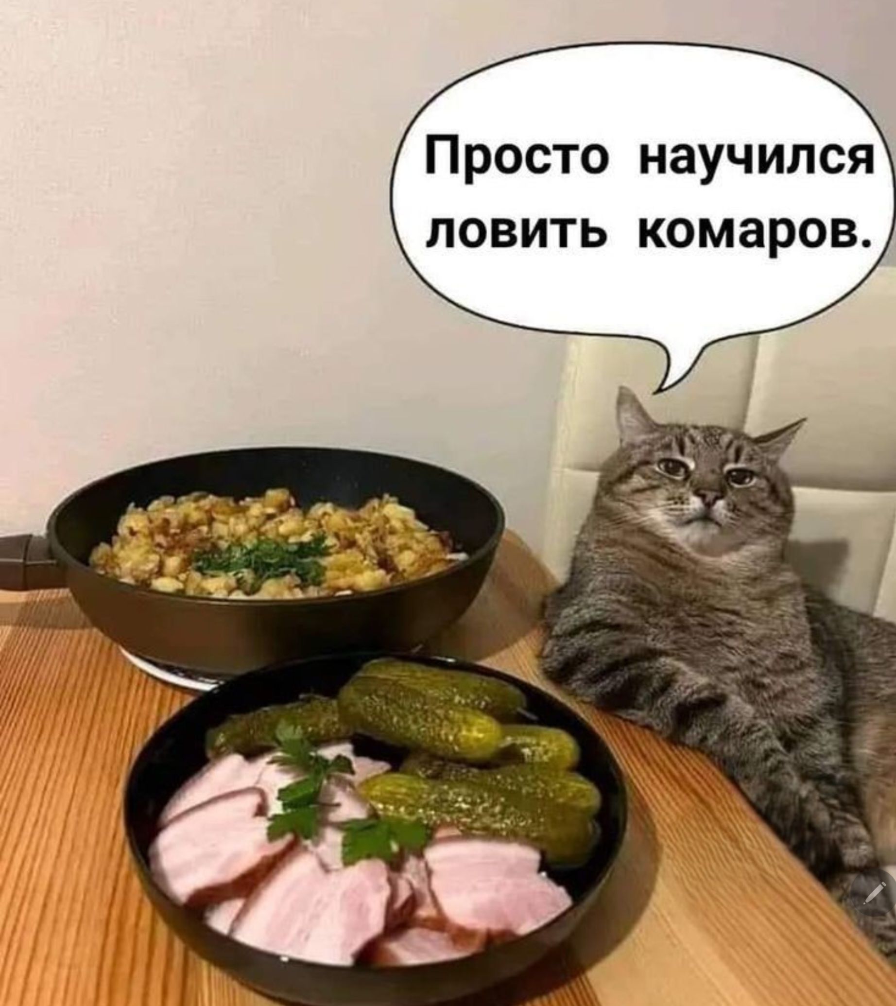 Просто научился ловить комаров.