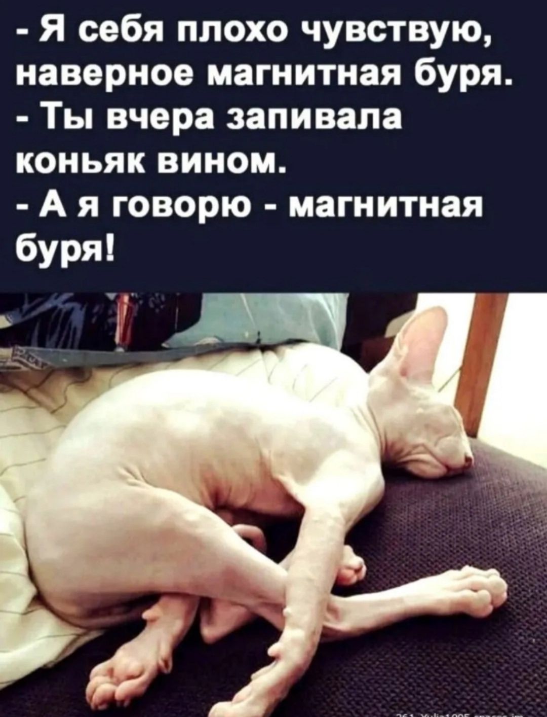 Я себя плохо чувствую, наверное магнитная буря.
Ты вчера запивала коньяк вином.
А я говорю - магнитная буря!