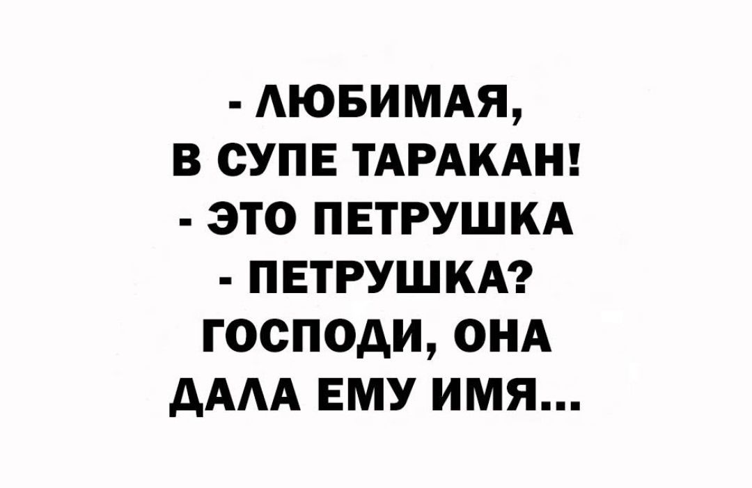 - ЛЮБИМАЯ, В СУПЕ ТАРАКАН!
- ЭТО ПЕТРУШКА
- ПЕТРУШКА?
ГОСПОДИ, ОНА ДАЛА ЕМУ ИМЯ...