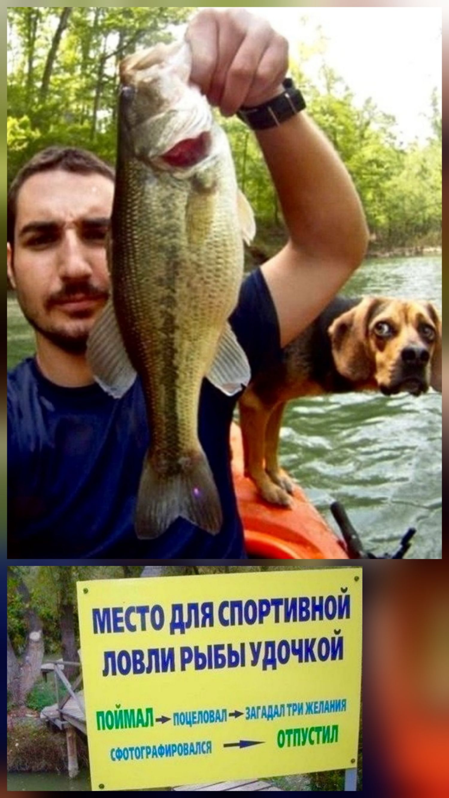 МЕСТО ДЛЯ СПОРТИВНОЙ ЛОВЛИ РЫБЫ УДОЧКОЙ
ПОЙМАЛ — ПОЦЕЛОВАЛ — ЗАГАДАЛ ТРИ ЖЕЛАНИЯ — СФОТОГРАФИРОВАЛСЯ — ОТПУСТИЛ