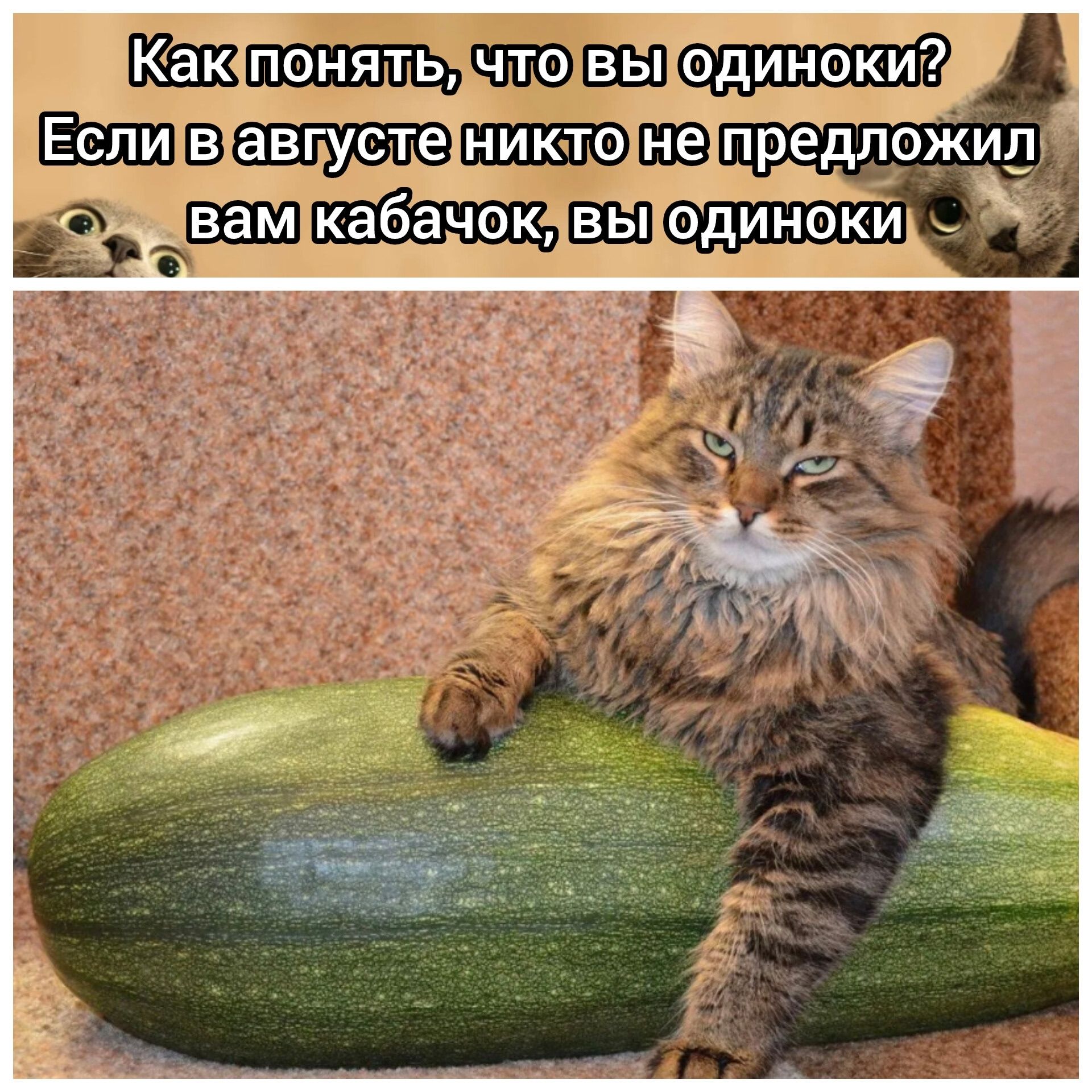 Как понять, что вы одиноки? Если в августе никто не предложил вам кабачок, вы одиноки