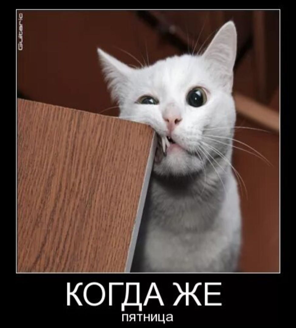 КОГДА ЖЕ
пятница