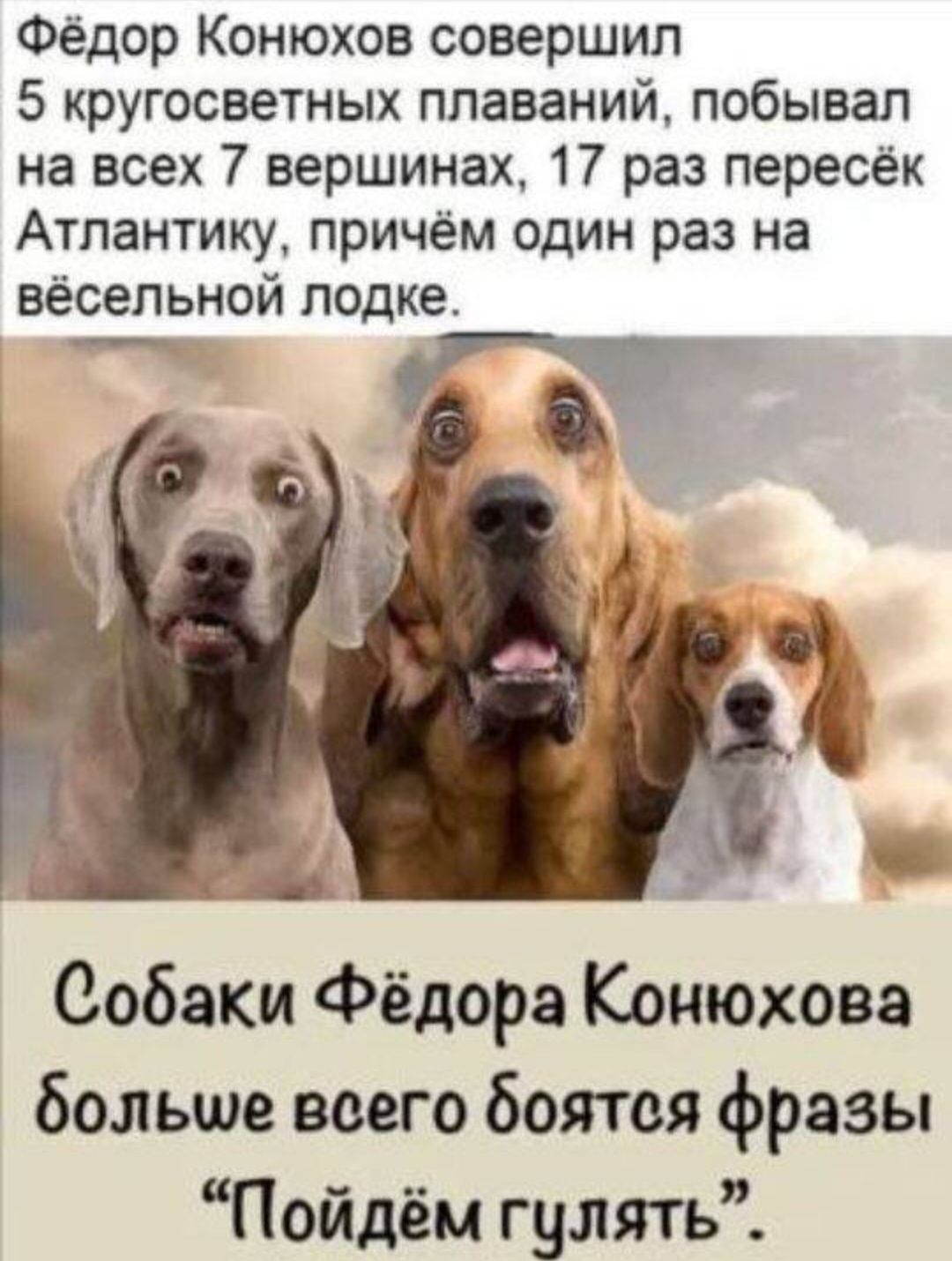 Фёдор Конюхов совершил 5 кругосветных плаваний, побывал на всех 7 вершинах, 17 раз пересёк Атлантику, причём один раз на весёлой лодке.
Собаки Фёдора Конюхова больше всего боятся фразы 