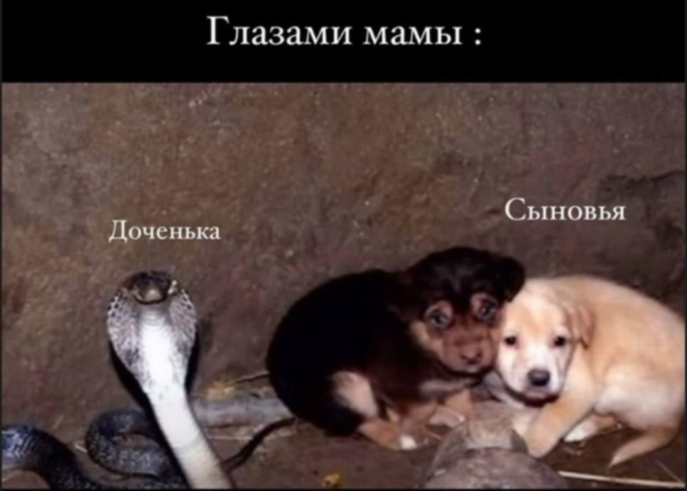 Глазами мамы : Доченька Сыновья