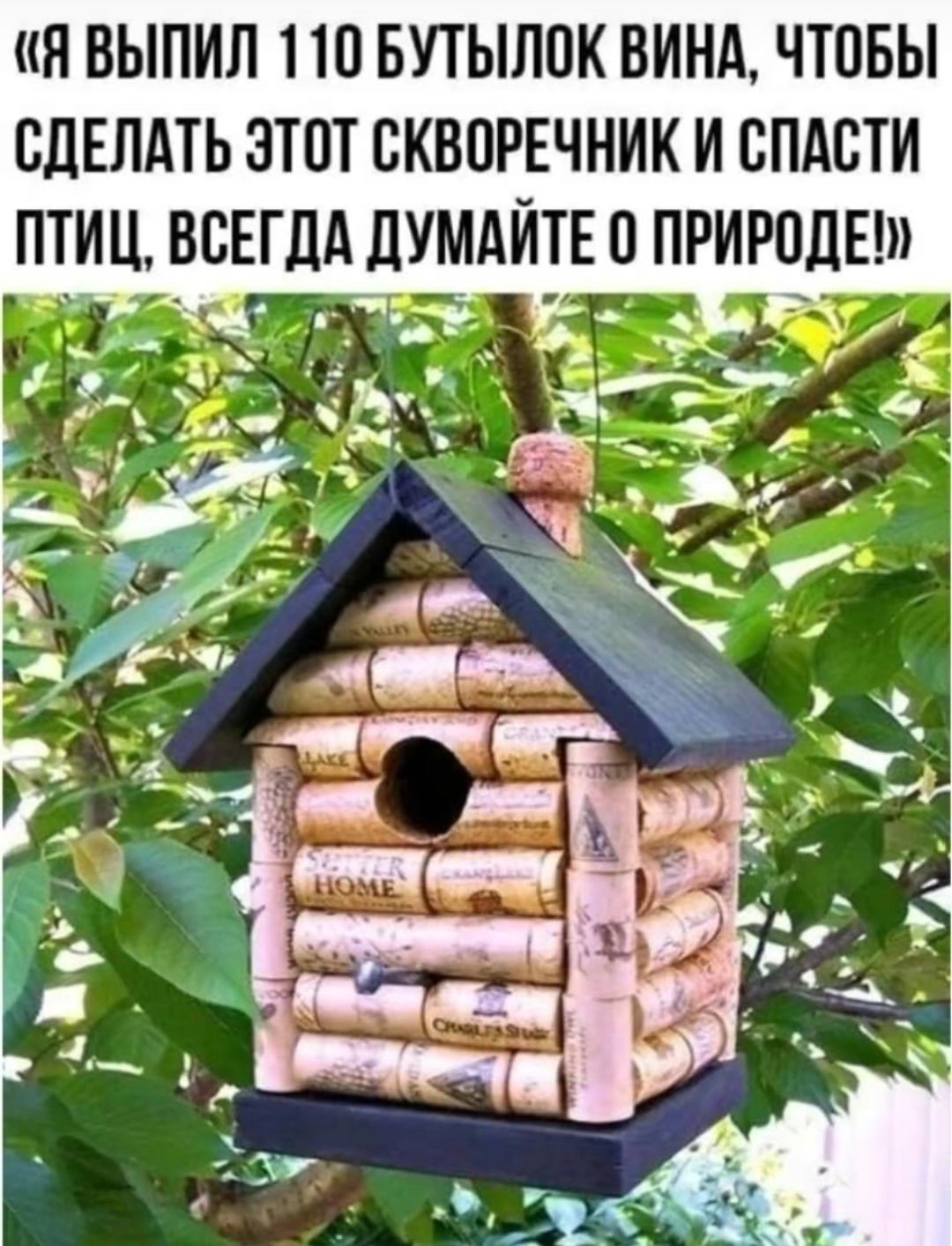 «Я ВЫПИЛ 110 БУТЫЛОК ВИНА, ЧТОБЫ СДЕЛАТЬ ЭТОТ СКВОРОЧНИК И СПАСТИ ПТИЦ, ВСЕГДА ДУМАЙТЕ О ПРИРОДЕ!»