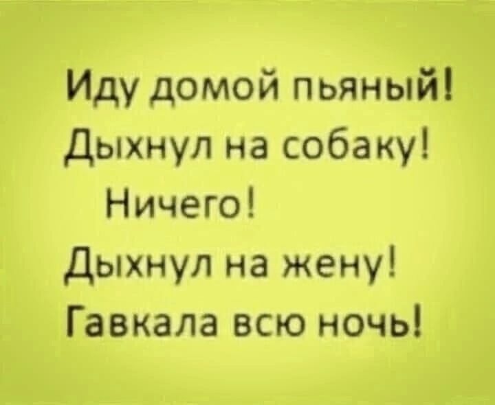 Иду домой пьянный! Дыхнул на собаку! Ничего! Дыхнул на жену! Гавкала всю ночь!