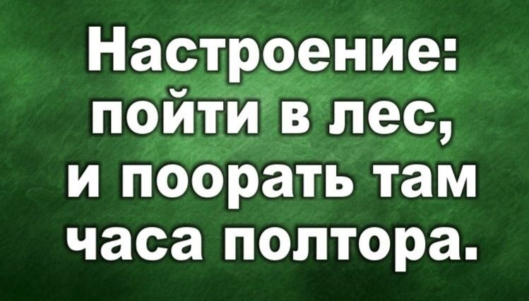 Настроение: пойти в лес, и поорать там часа полтора.