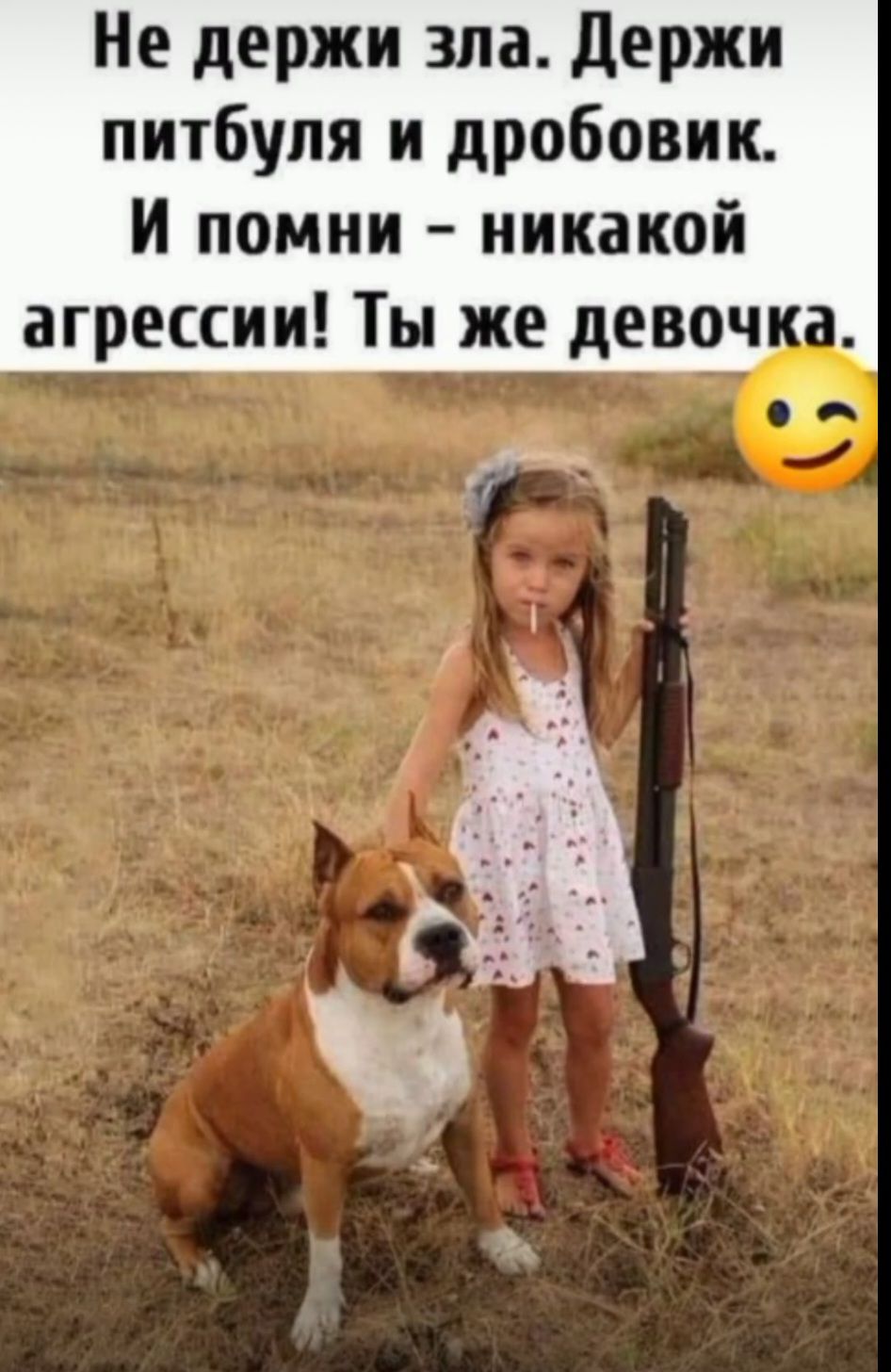 Не держи зла. Держи питбуля и дробовик. И помни – никакой агрессии! Ты же девочка.