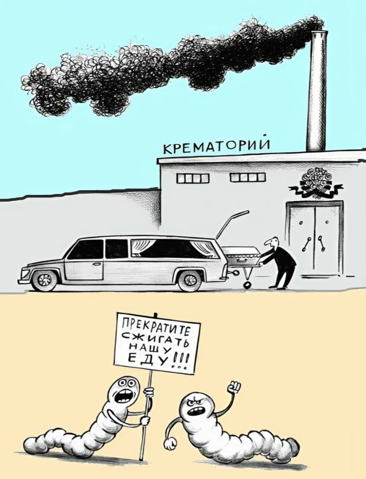 Прекратите сжигать нашу еду!!!