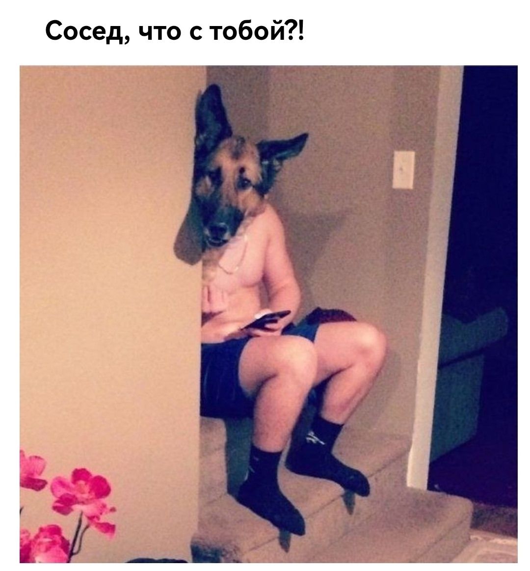 Сосед, что с тобой?!