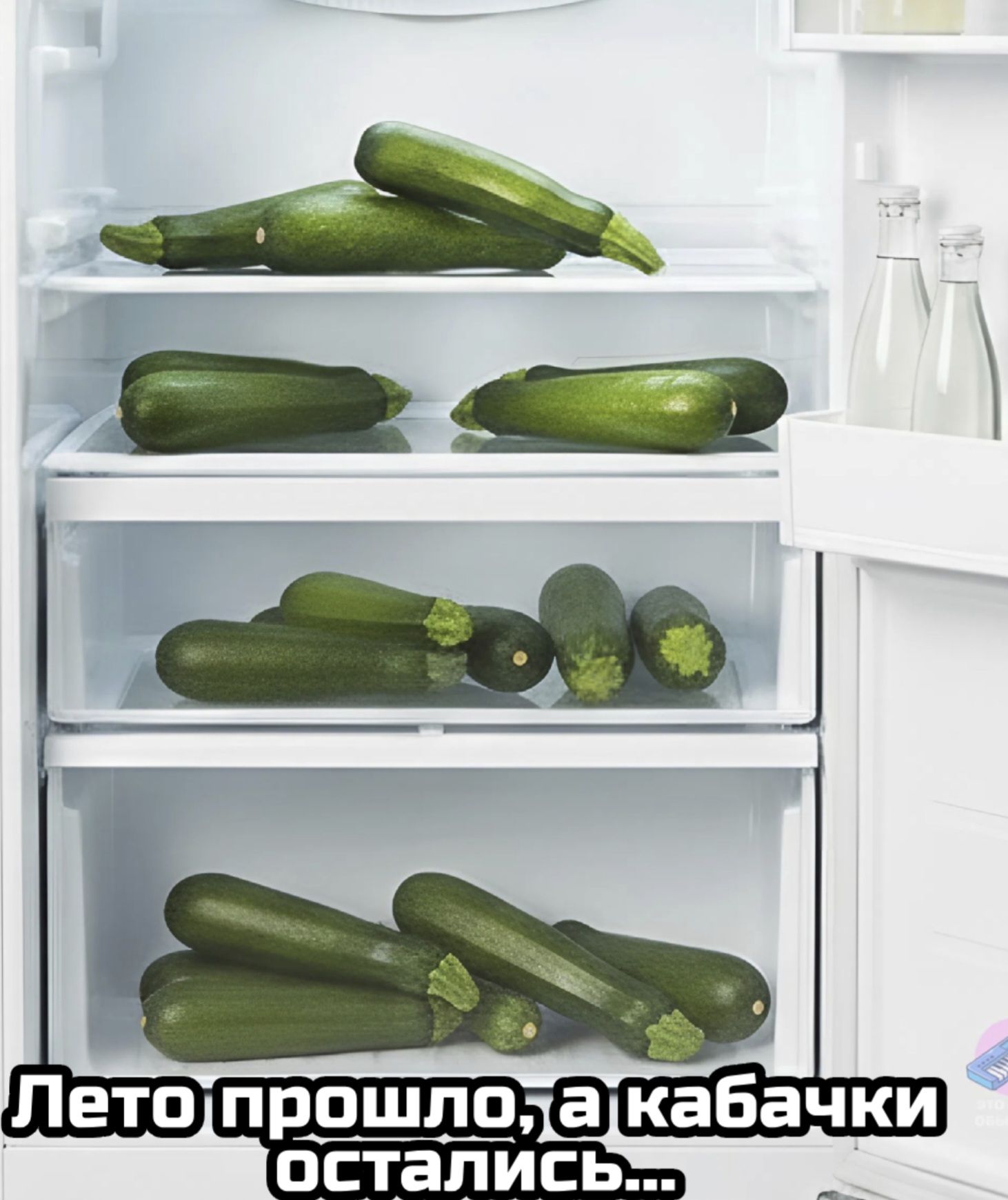 Лето прошло, а кабачки остались...