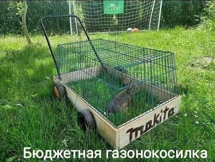 Бюджетная газонокосилка