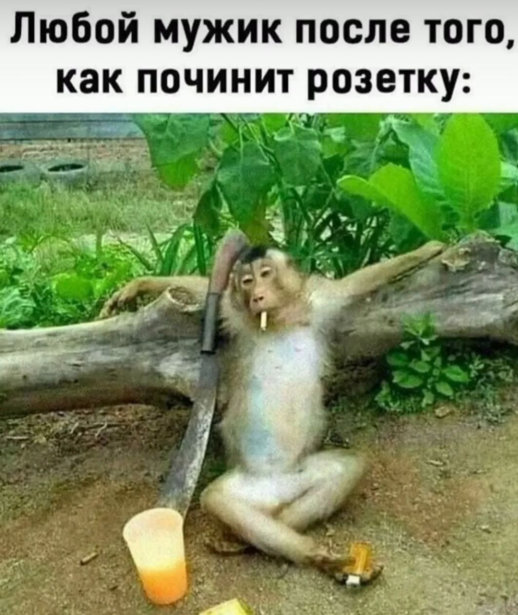Любой мужик после того, как починит розетку: