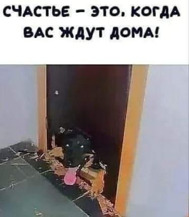 СЧАСТЬЕ – ЭТО, КОГДА ВАС ЖДУТ ДОМА!