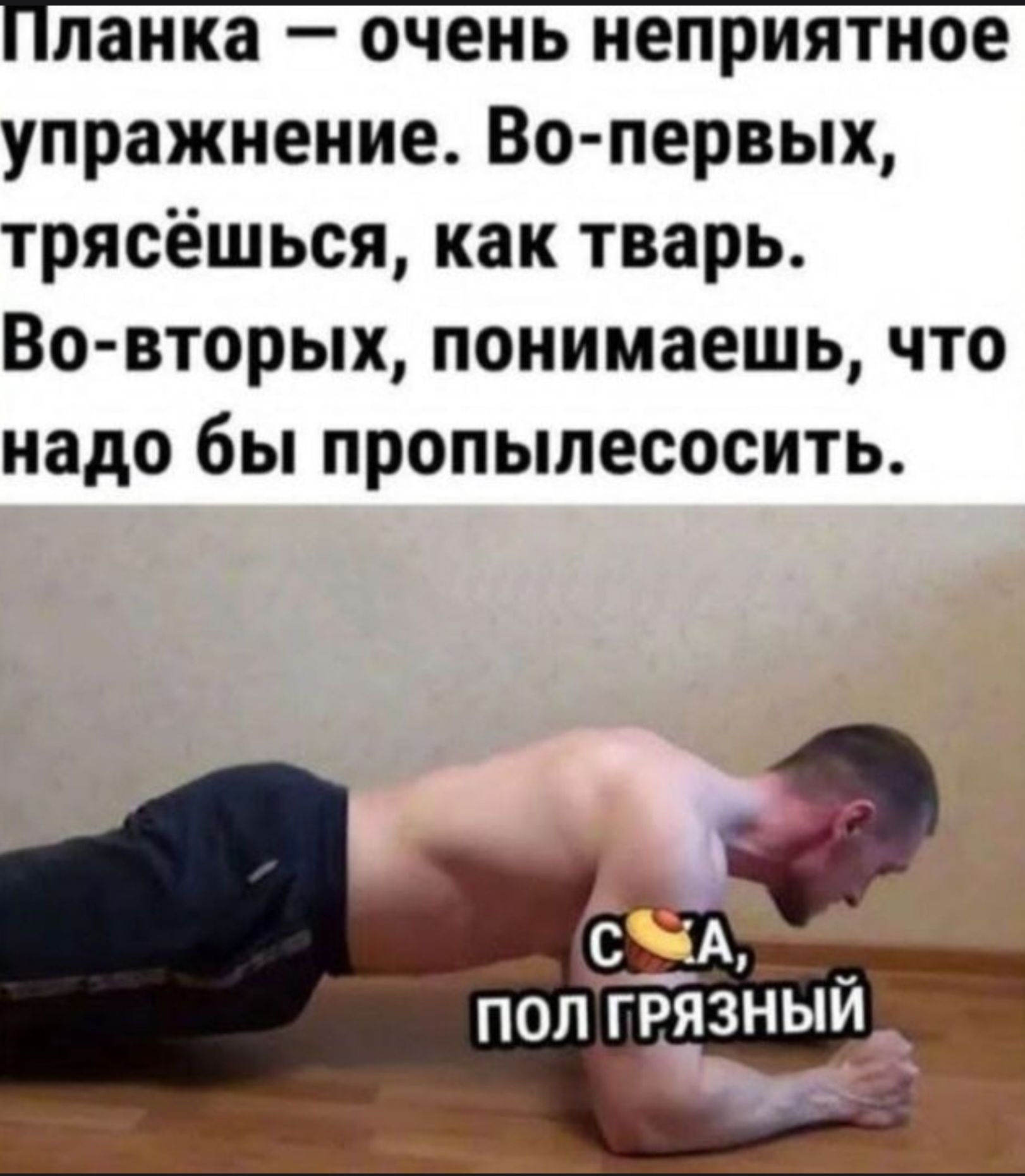 Планка — очень неприятное упражнение. Во-первых, трясёшься, как тварь. Во-вторых, понимаешь, что надо бы пропылесосить.