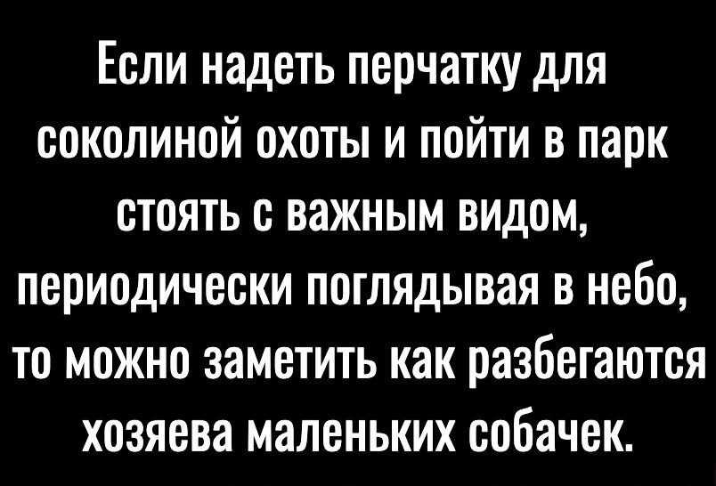 Если надеть перчатку для соколиной охоты и пойти в парк стоять с важным видом, периодически поглядывая в небо, то можно заметить как разбегаются хозяева маленьких собачек.
