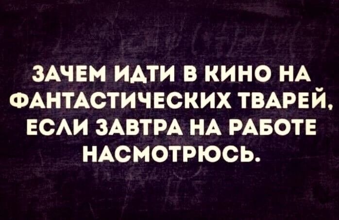 Зачем идти в кино на фантастических тварей, если завтра на работе насмотрюсь.