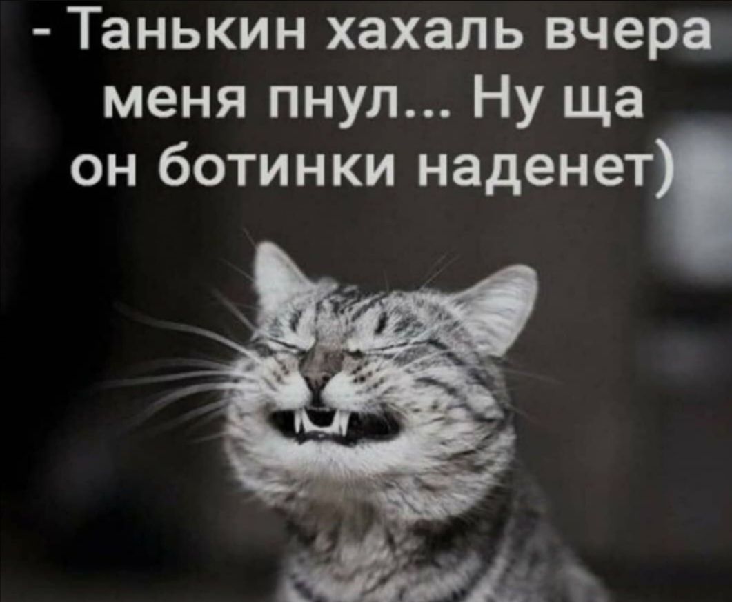 - Танькин хахаль вчера меня пнул... Ну ща он ботинки наденет)