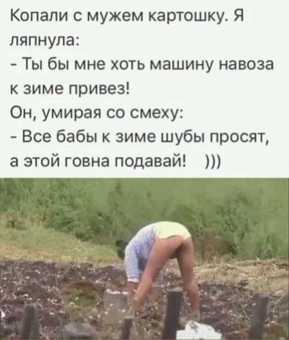 Копали с мужем картошку. Я ляпнула:
- Ты бы мне хоть машину навоза к зиме привез!
Он, умирая со смеху:
- Все бабки к зиме шубы просят, а этой говна подавай!)))