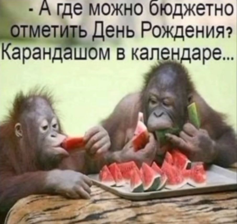 А где можно бюджетно отметить День Рождения? Карандашом в календаре...