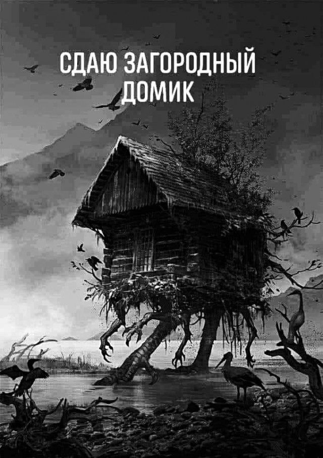 СДАЮ ЗАГОРОДНЫЙ ДОМИК