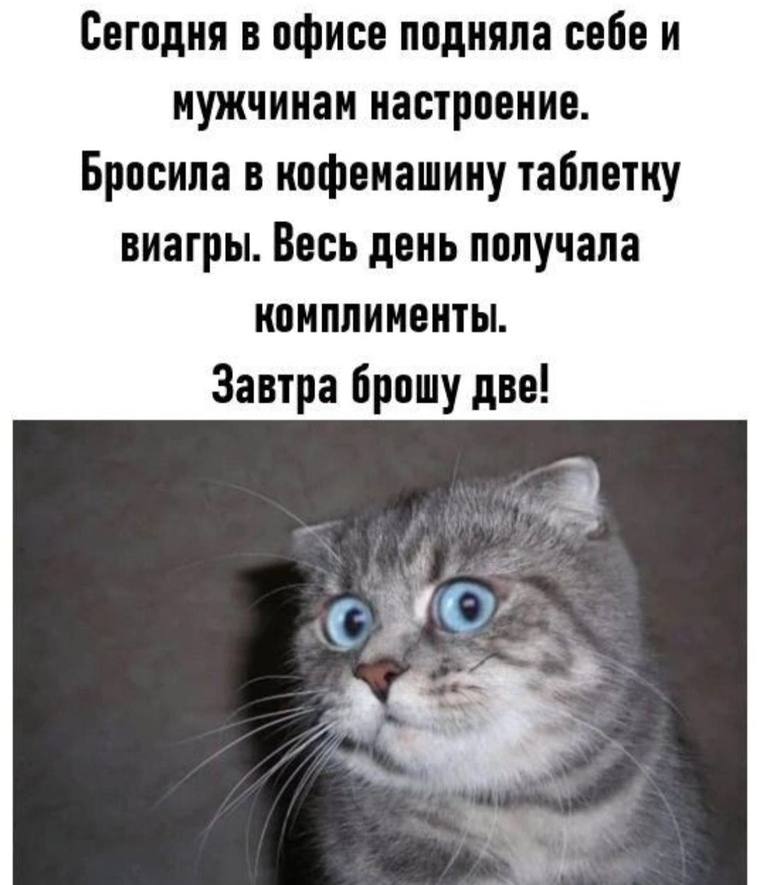 Сегодня в офисе подняла себе и мужским настроением. Бросила в кофемашину таблетку виагры. Весь день получала комплименты. Завтра брошу две!