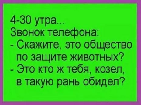 4-30 утра...
Звонок телефона:
- Скажите, это общество по защите животных?
- Это кто ж тебя, козел, в такую рань обидел?