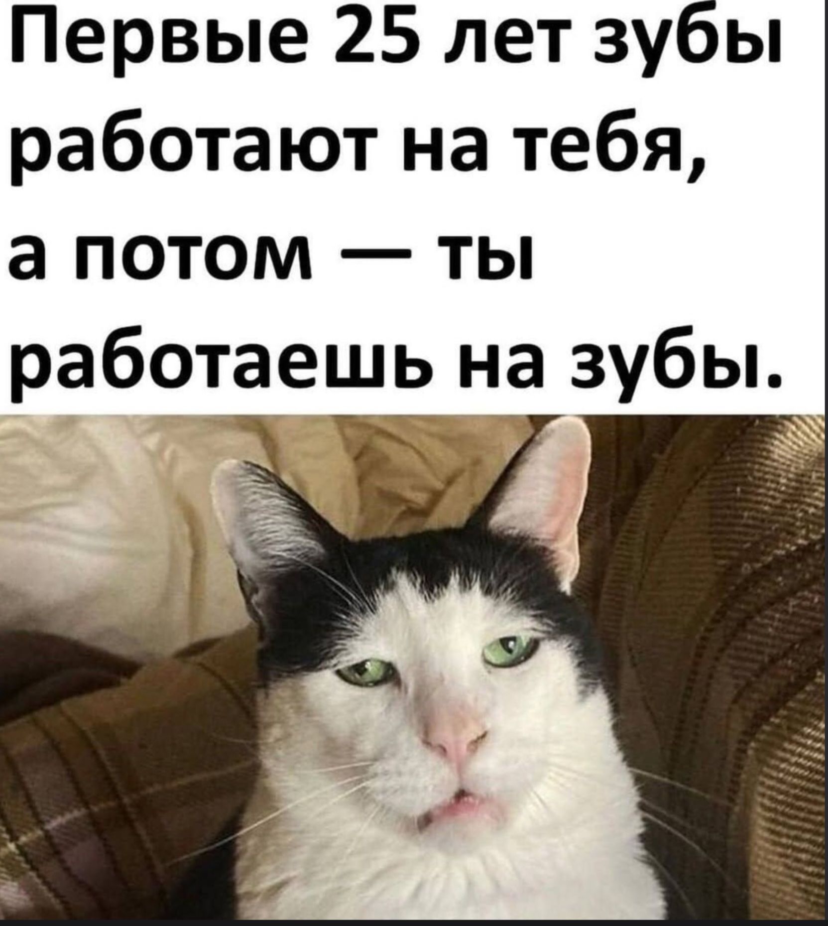 Первые 25 лет зубы работают на тебя, а потом — ты работаешь на зубы.