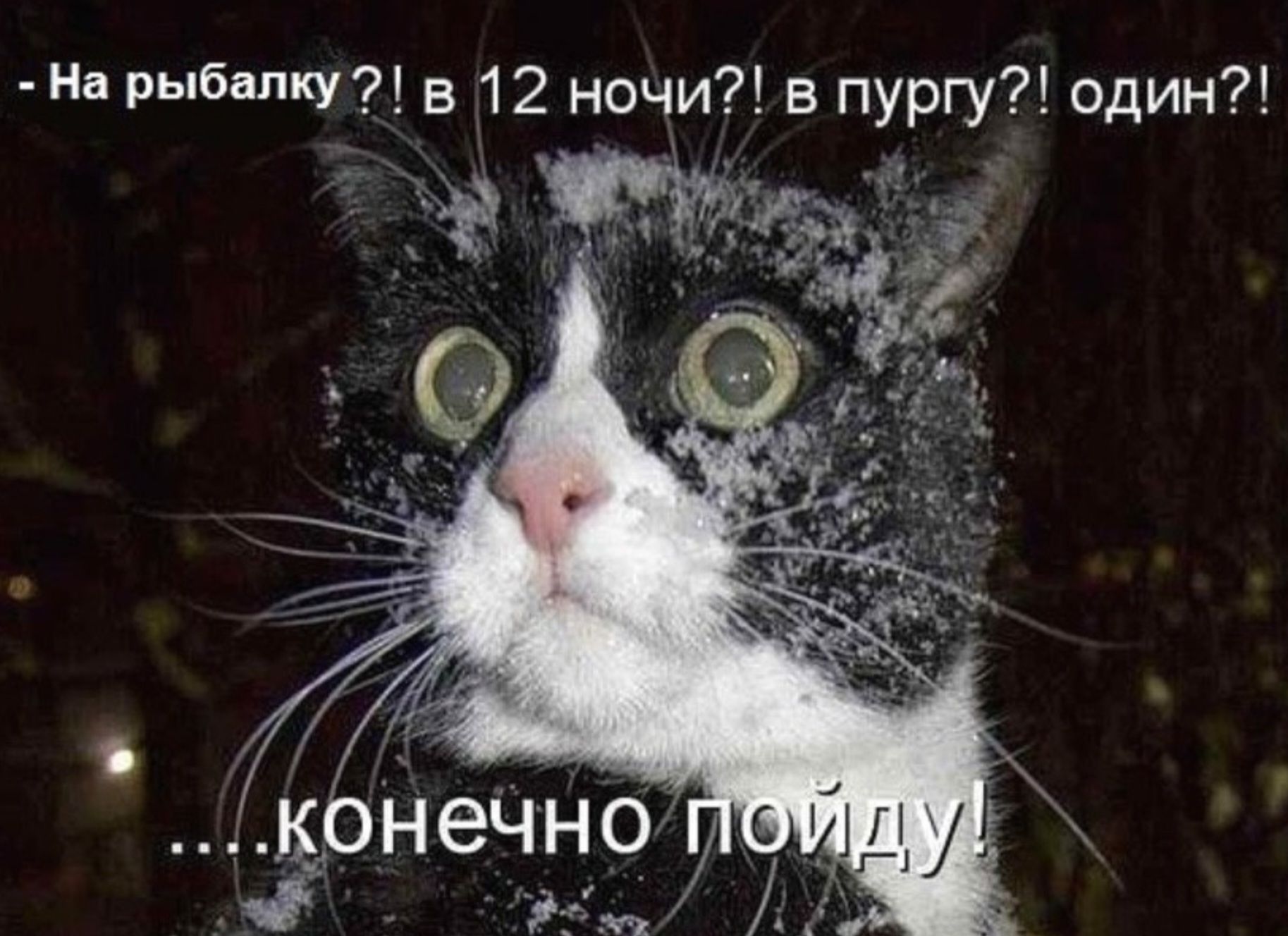 - На рыбаку?! в 12 ночи?! в пургу?! один?! ...конечно пойду!