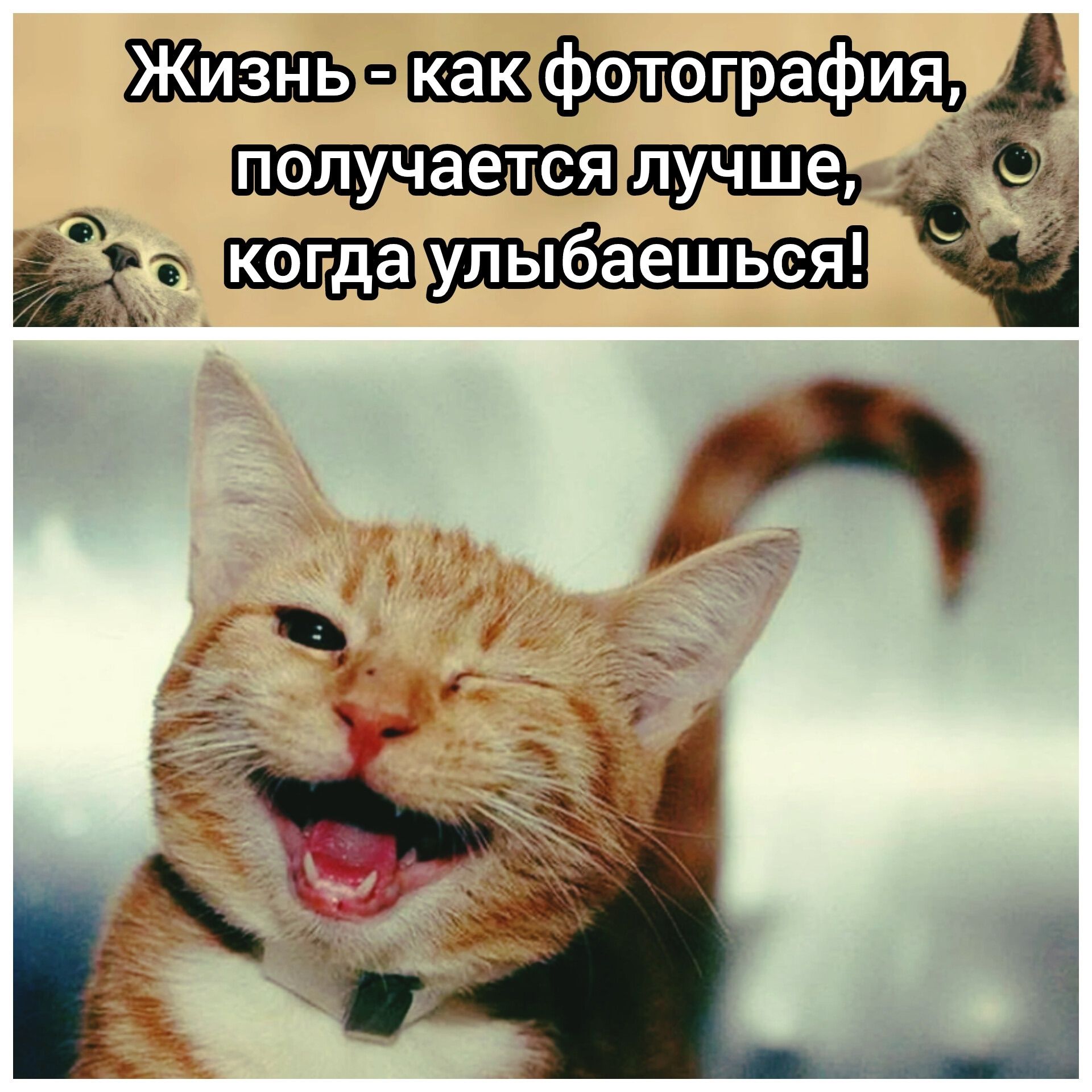 Жизнь - как фотография, получается лучше, когда улыбаешься!