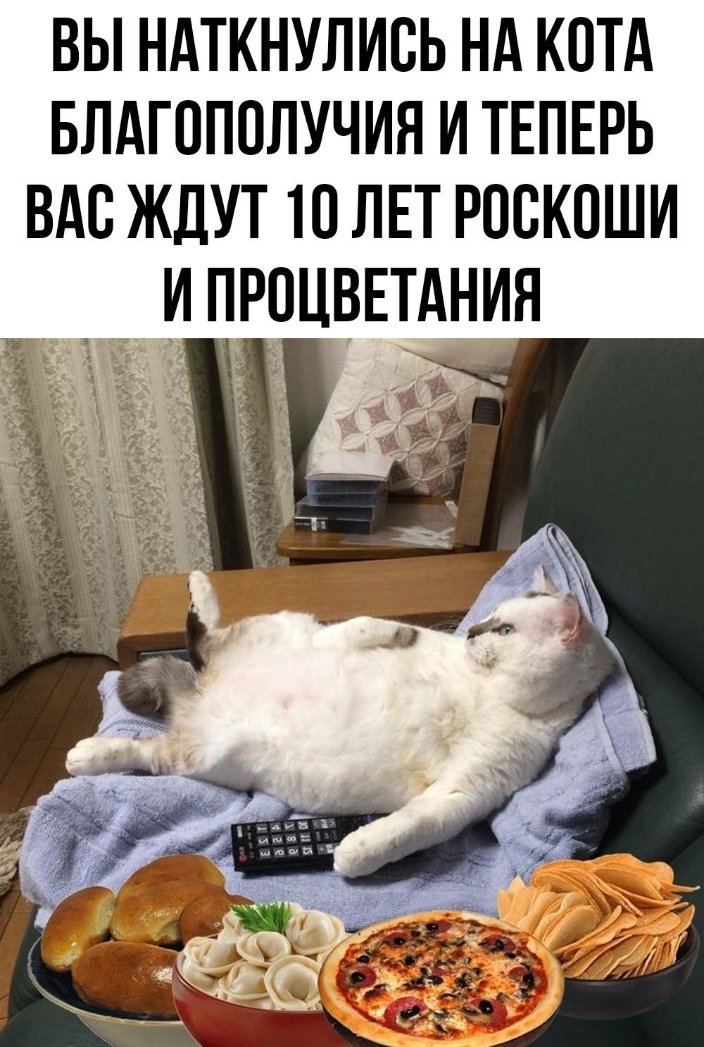 ВЫ НАТКНУЛИСЬ НА КОТА БЛАГОПОЛУЧИЯ И ТЕПЕРЬ ВАС ЖДУТ 10 ЛЕТ РОСКОШИ И ПРОЦВЕТАНИЯ
