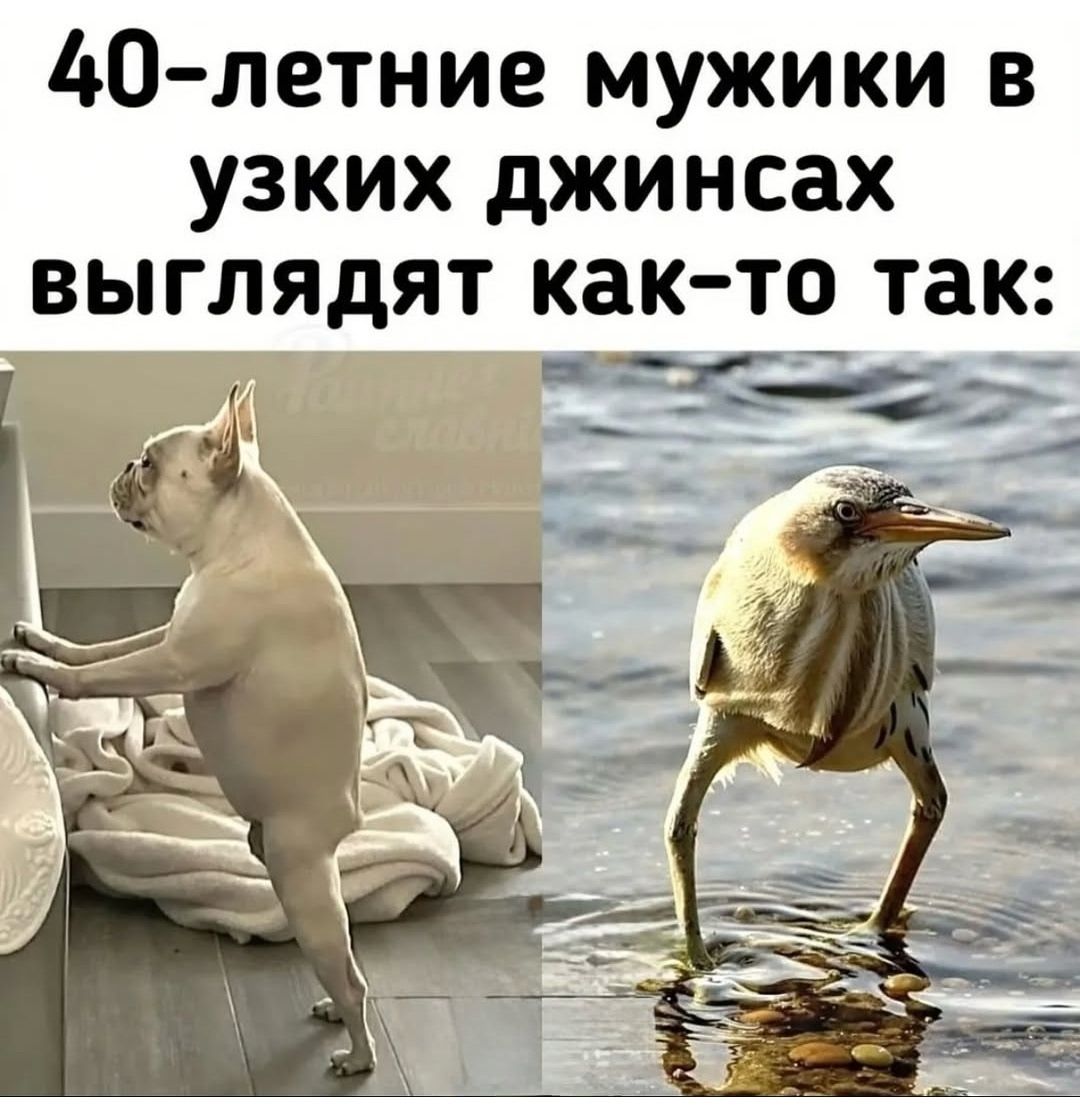 40-летние мужики в узких джинсах выглядят как-то так: