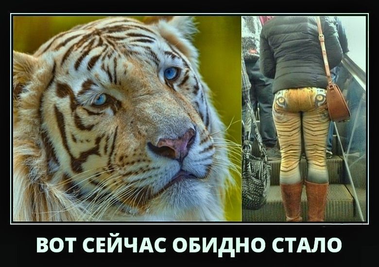 ВОТ СЕЙЧАС ОБИДНО СТАЛО