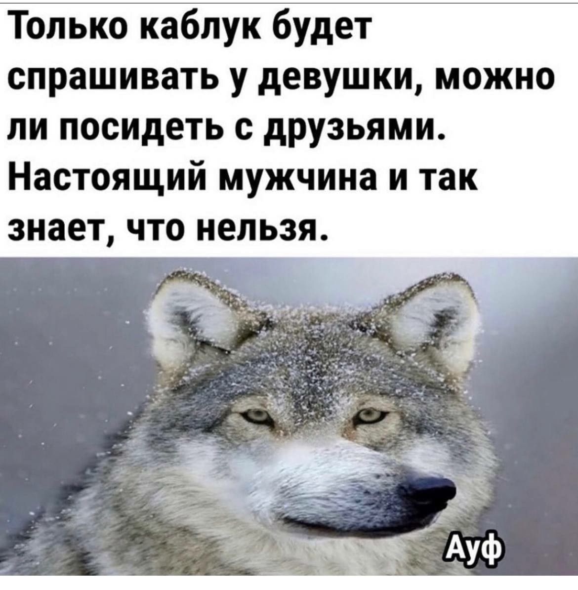 Только каблук будет спрашивать у девушки, можно ли посидеть с друзьями. Настоящий мужчина и так знает, что нельзя.