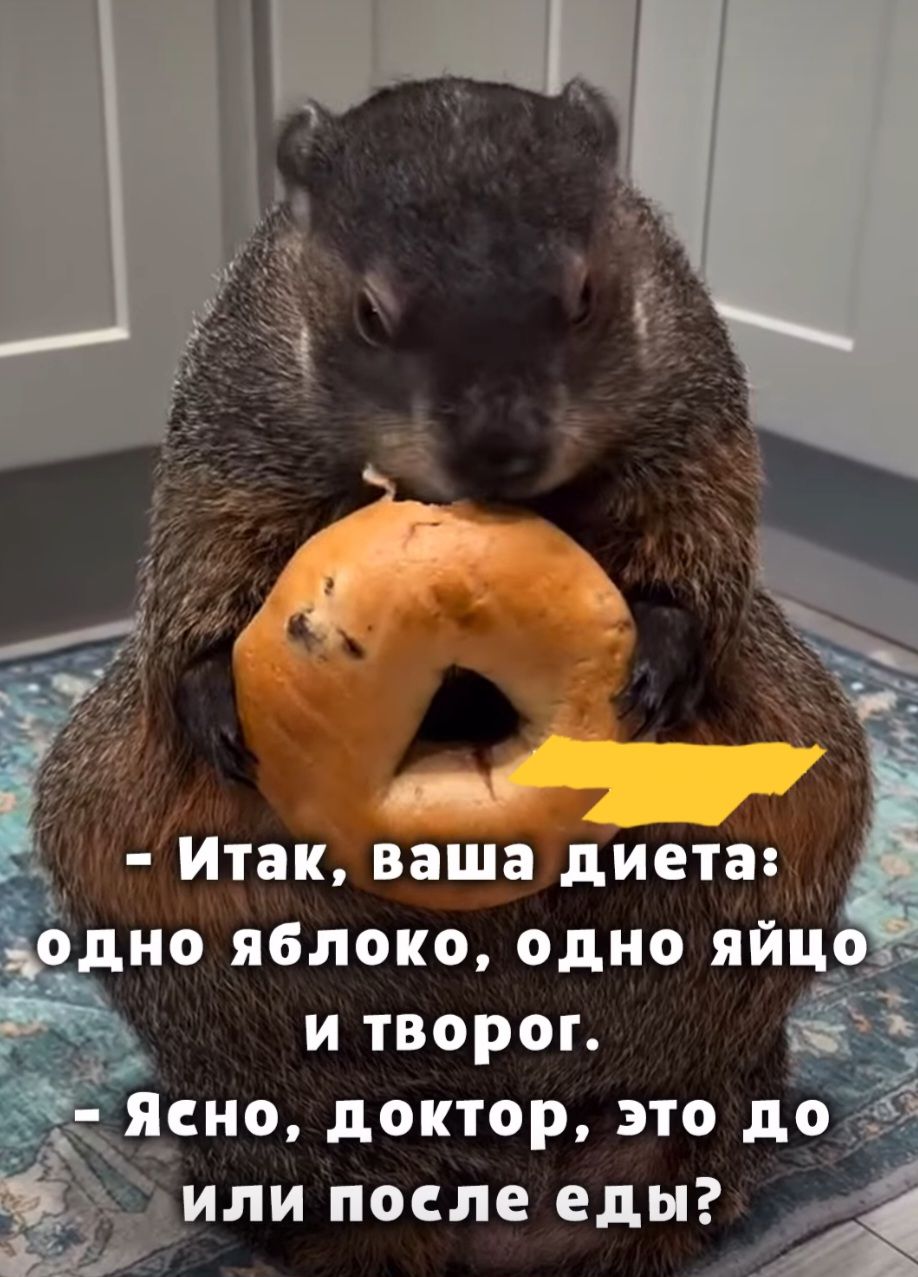 - Итак, ваша диета: одно яблоко, одно яйцо и творог.
- Ясно, доктор, это до или после еды?