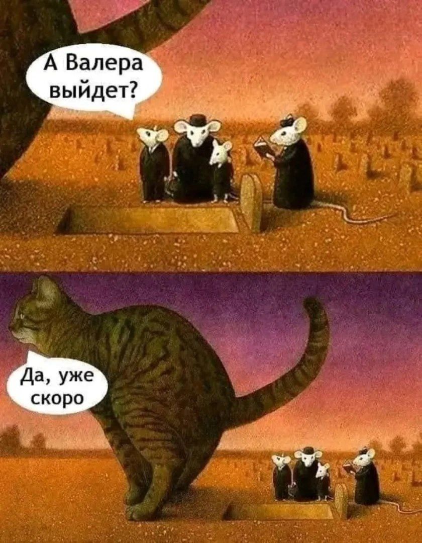 А Валера выйдет?
Да, уже скоро