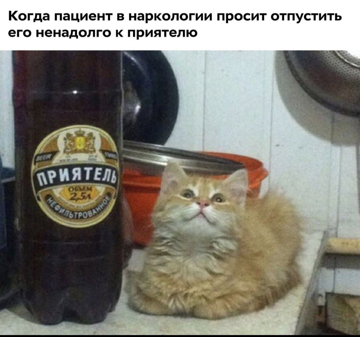 Когда пациент в наркологии просит отпустить его ненадолго к приятелю