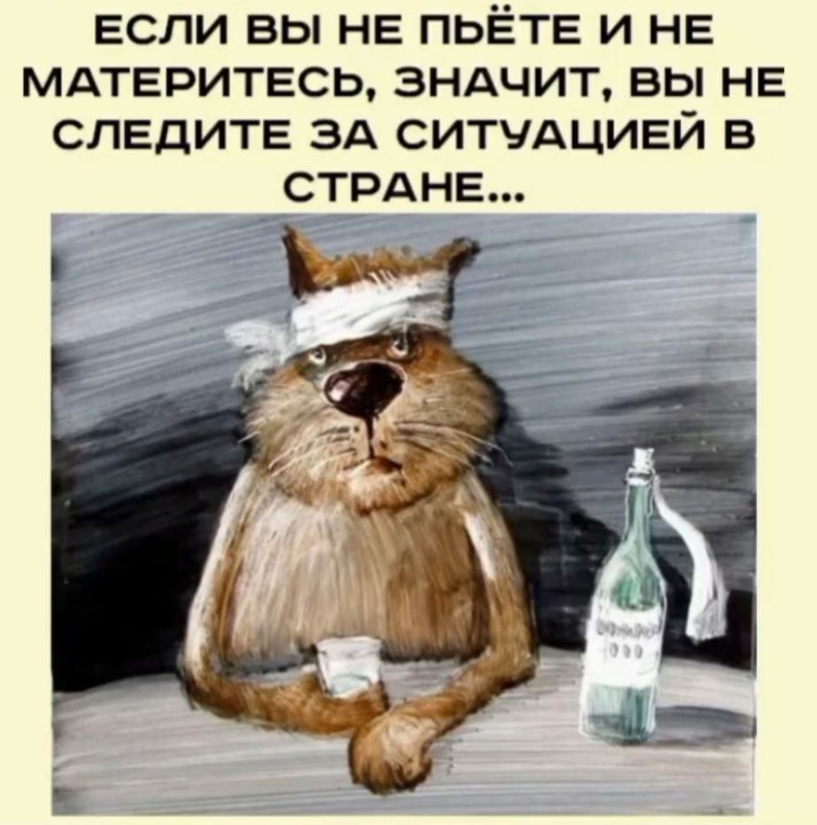 ЕСЛИ ВЫ НЕ ПЬЁТЕ И НЕ МАТЕРИТЕСЬ, ЗНАЧИТ, ВЫ НЕ СЛЕДИТЕ ЗА СИТУАЦИЕЙ В СТРАНЕ...
