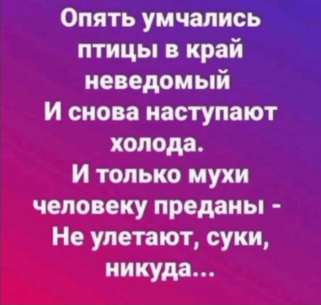 Опять умчались птицы в край неведомый
И снова наступают холода.
И только мухи человеку преданы -
Не улетают, суки, никуда...