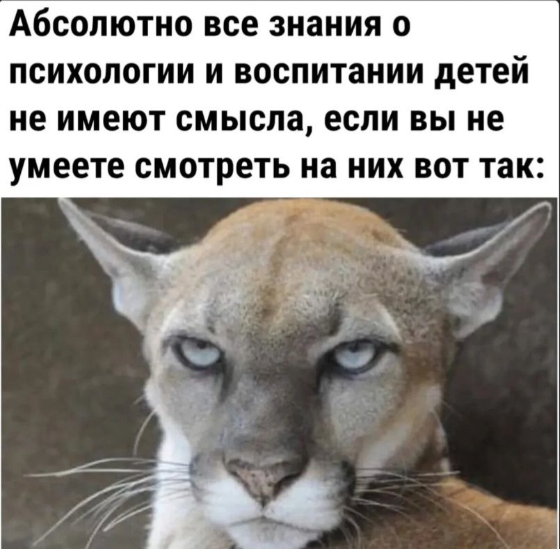 Абсолютно все знания о психологии и воспитании детей не имеют смысла, если вы не умеете смотреть на них вот так: