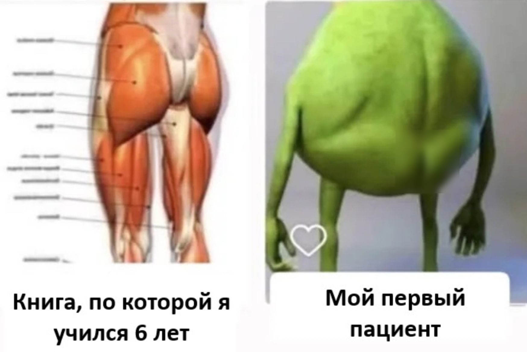 Книга, по которой я учился 6 лет
Мой первый пациент