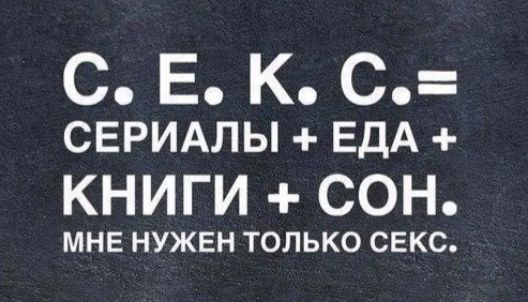 С. Е. К. С. = СЕРИАЛЫ + ЕДА + КНИГИ + СОН. МНЕ НУЖЕН ТОЛЬКО СЕКС.