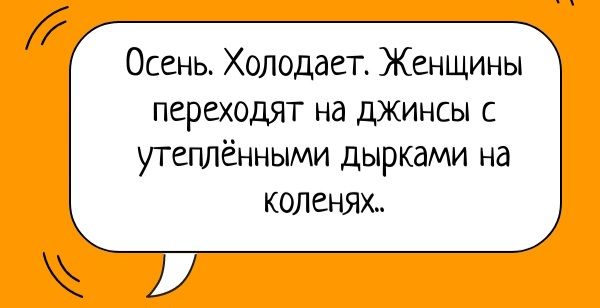 Осень. Холодает. Женщины переходят на джинсы с утёплёнными дырками на коленях..