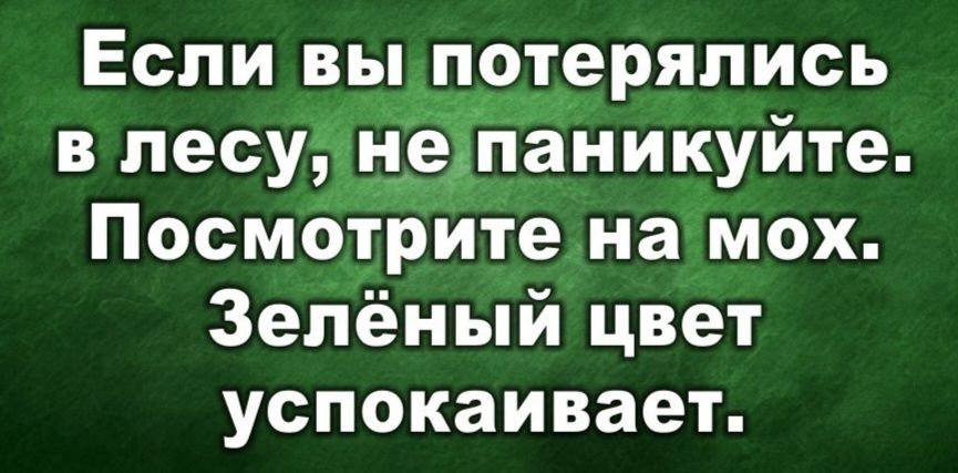 Если вы потерялись в лесу, не паникуйте. Посмотрите на мох. Зелёный цвет успокаивает.