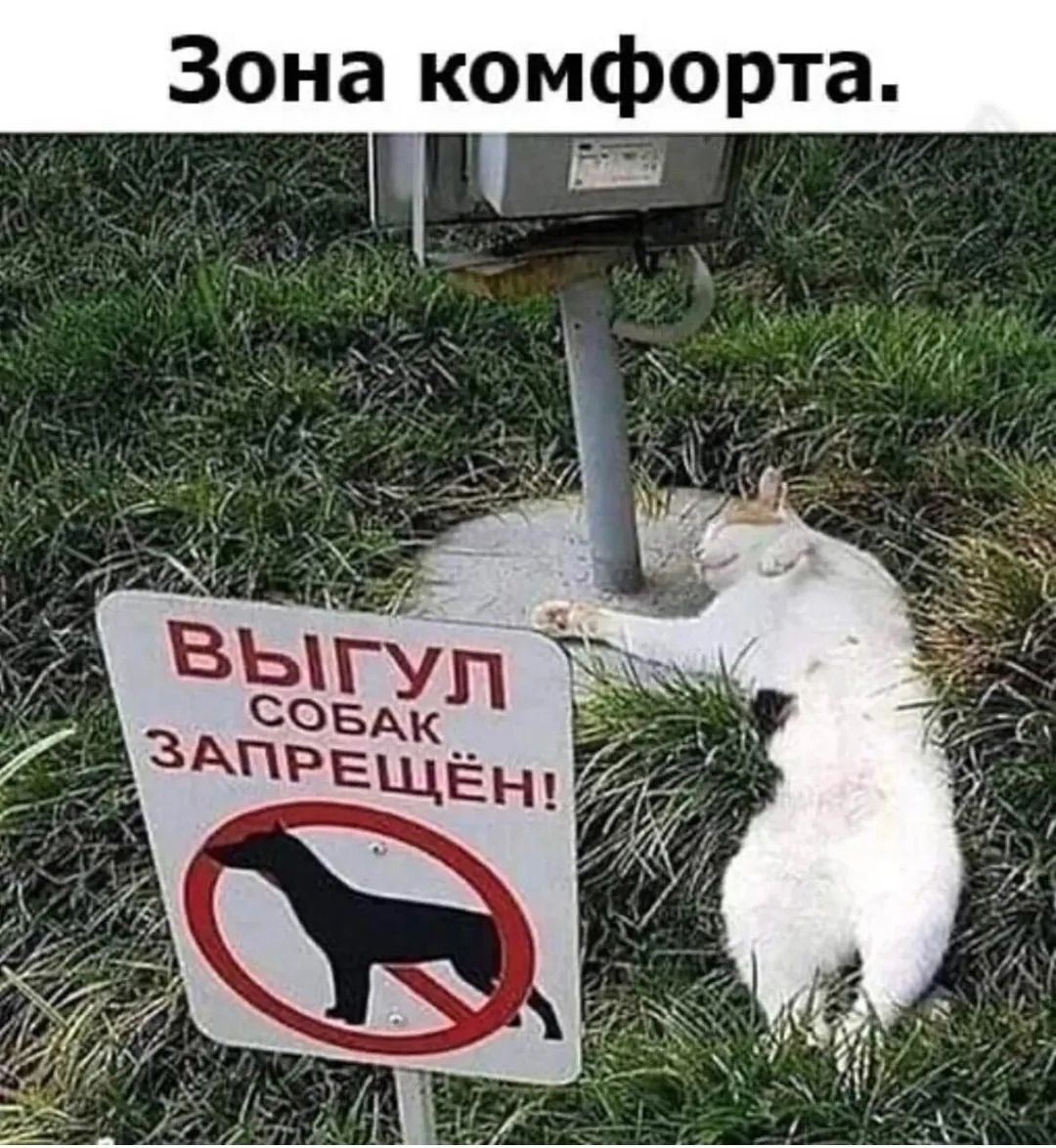 Зона комфорта.
ВЫГУЛ СОБАК ЗАПРЕЩЁН!