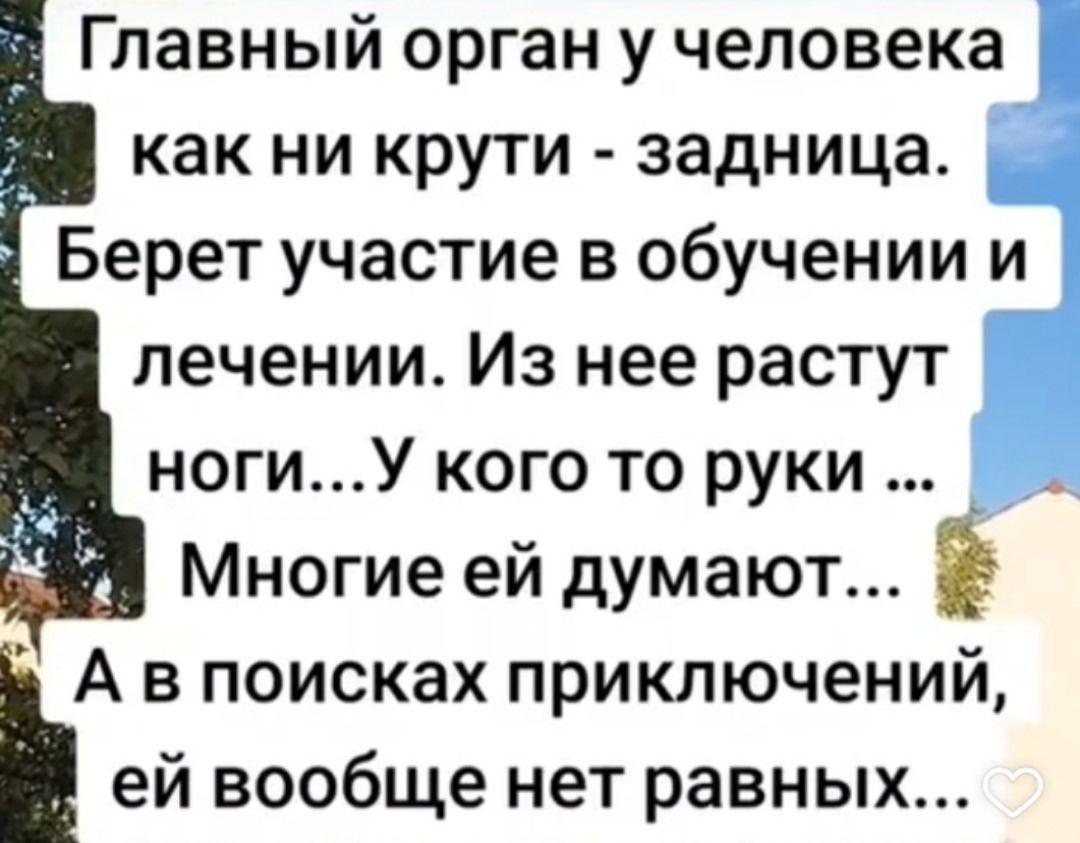Главный орган у человека как ни крути - задница. Берет участие в обучении и лечении. Из нее растут ноги...У кого то руки ... Многие ей думают... А в поисках приключений, ей вообще нет равных...