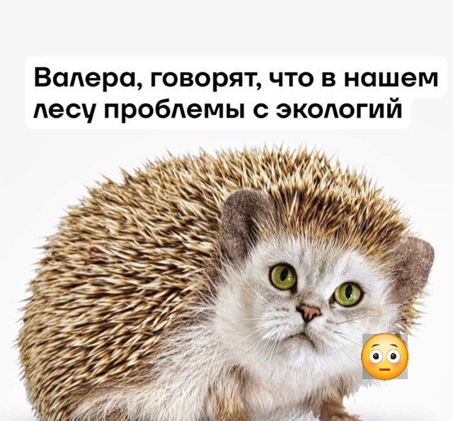 Валера, говорят, что в нашем лесу проблемы с экологией